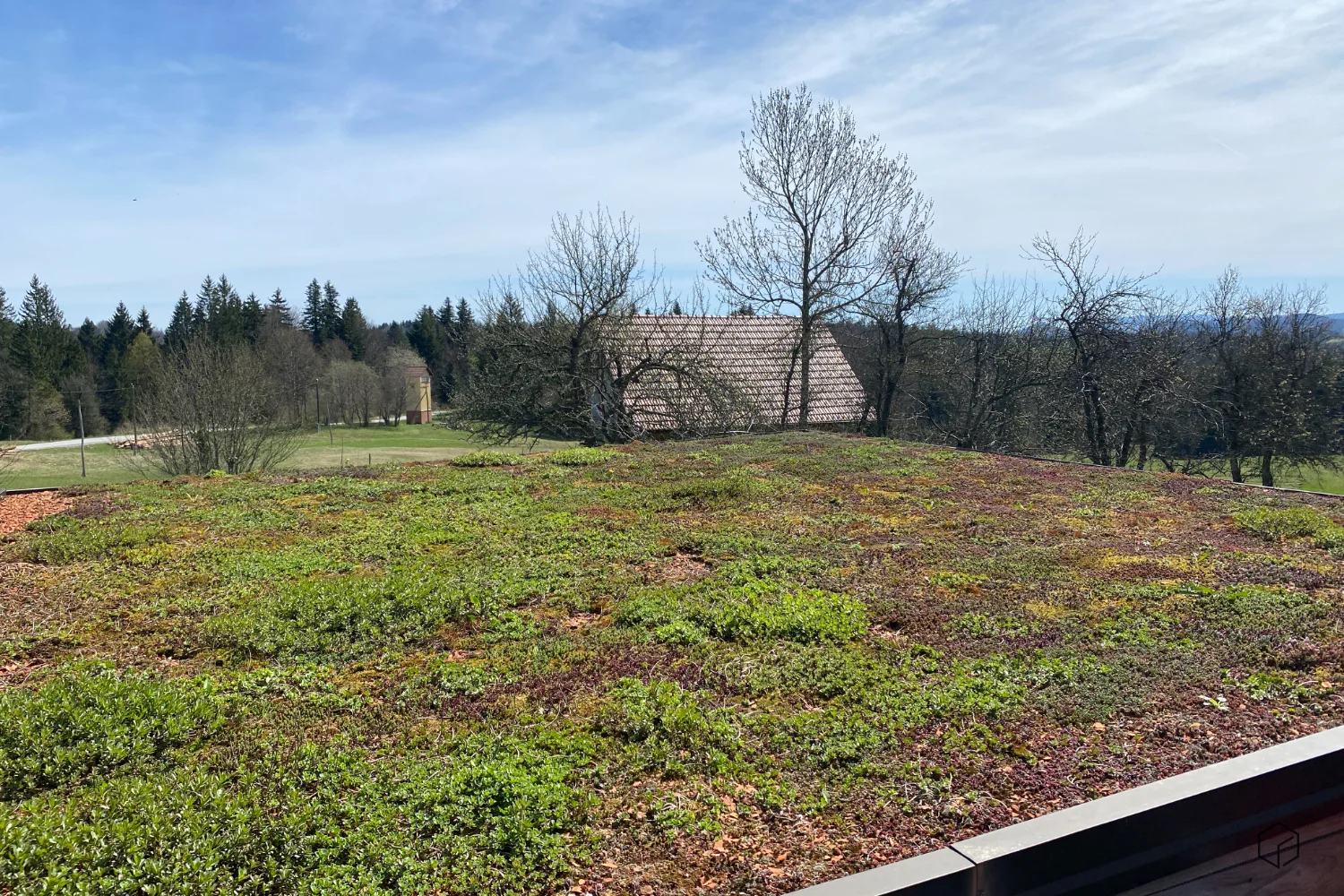 Blick auf das Gründach