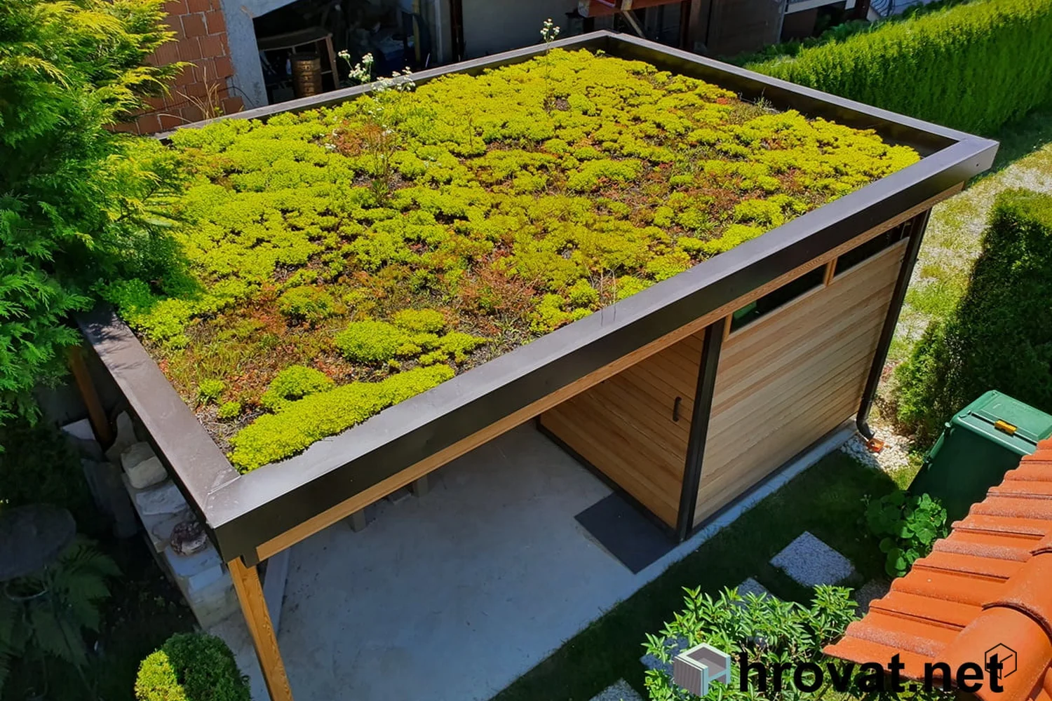 Gründach auf dem Gartenhaus