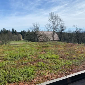 Blick auf das Gründach