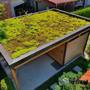 Gründach auf dem Gartenhaus