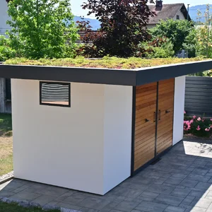 Green roof-2-small